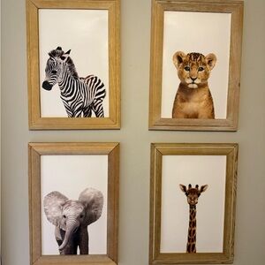 Four Baby Animal Framed Prints 16x20
